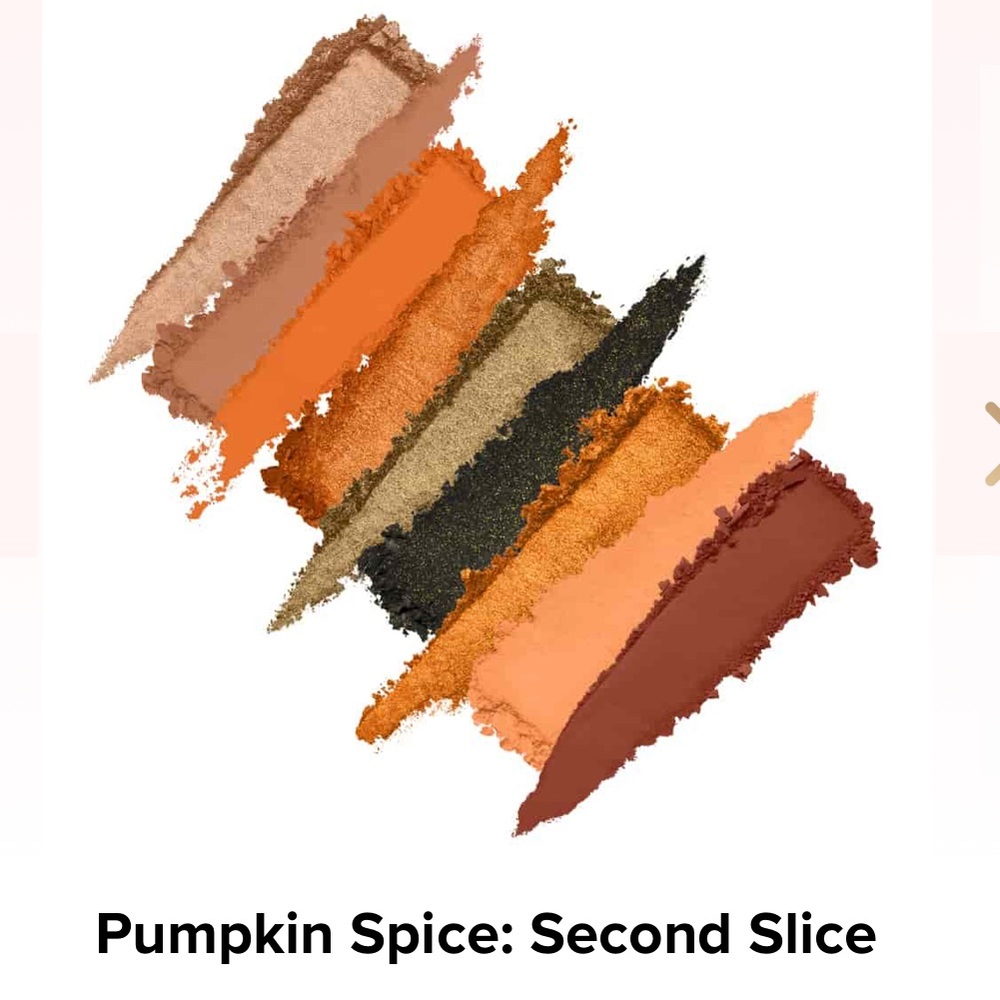 New Too Faced Pumpkin Spice Second Slice Eyeshadow Palette - Picture 11 of 17